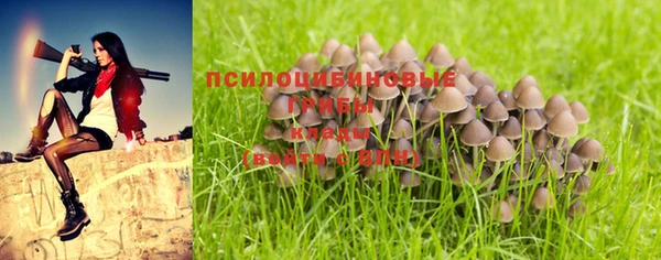ALPHA-PVP Нефтекумск